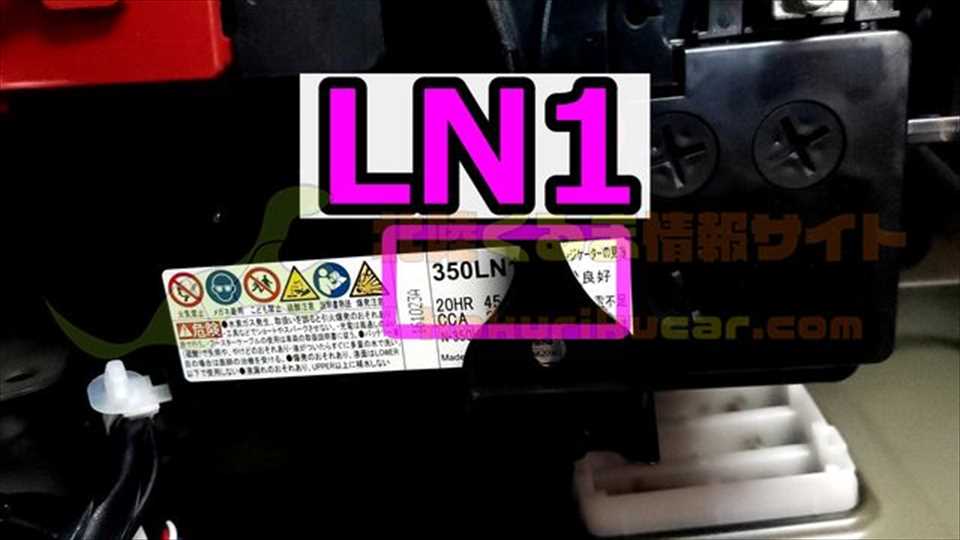 LN1