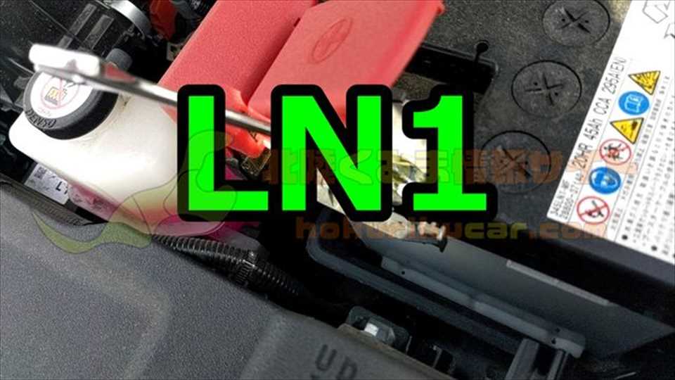 LN1